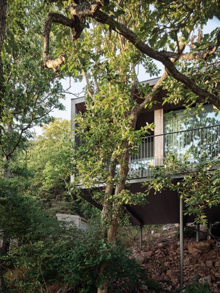 Tree-tops of Kullaberg