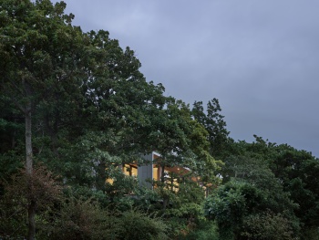 Tree-tops of Kullaberg